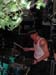 DSCN0020