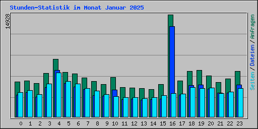 Stunden-Statistik im Monat Januar 2025